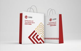 金融企业中延集团品牌Logo设计与形象策划方案